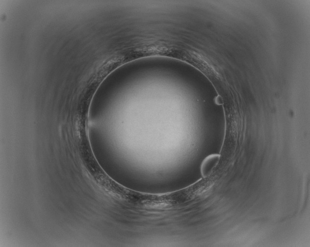 X0000074930643200609081327