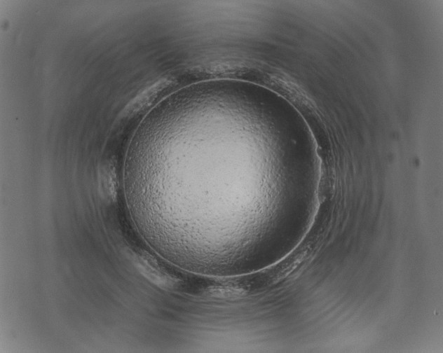 X0000074930644200609081327