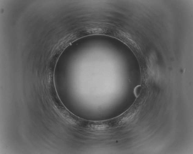 X0000074930645200609081327