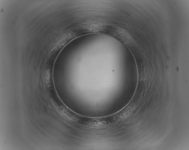 X0000074930646200609081327