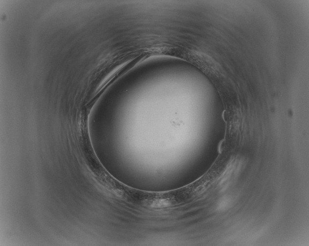 X0000074930647200609081327