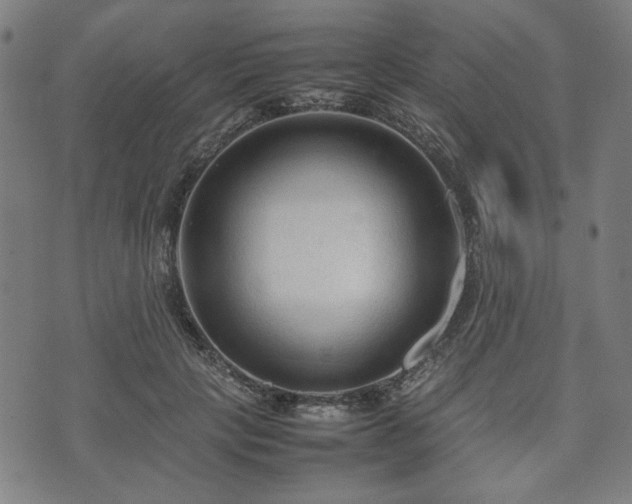 X0000074930649200609081327