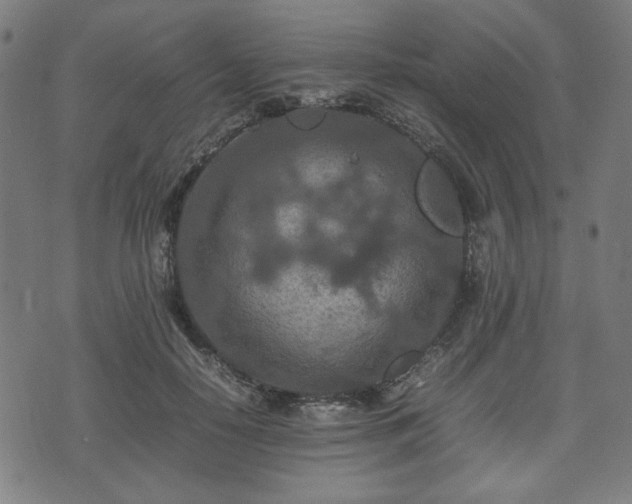 X0000074930650200609081327