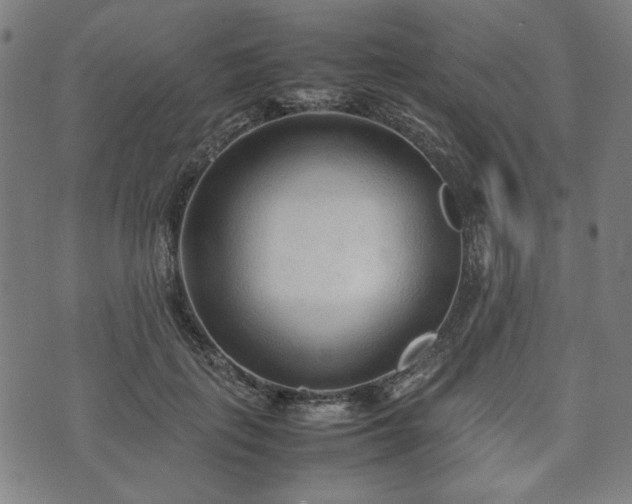 X0000074930651200609081327