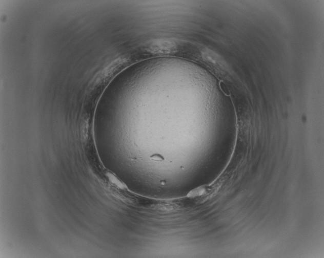 X0000074930652200609081327