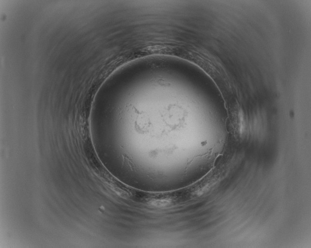 X0000074930653200609081327