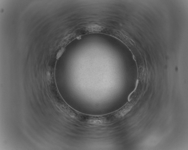 X0000074930655200609081327