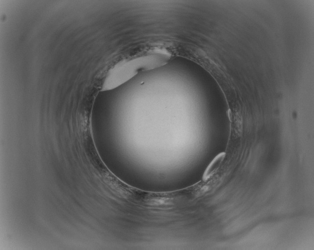 X0000074930657200609081327