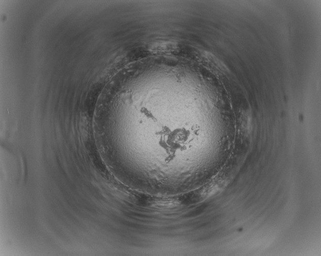 X0000074930659200609081327