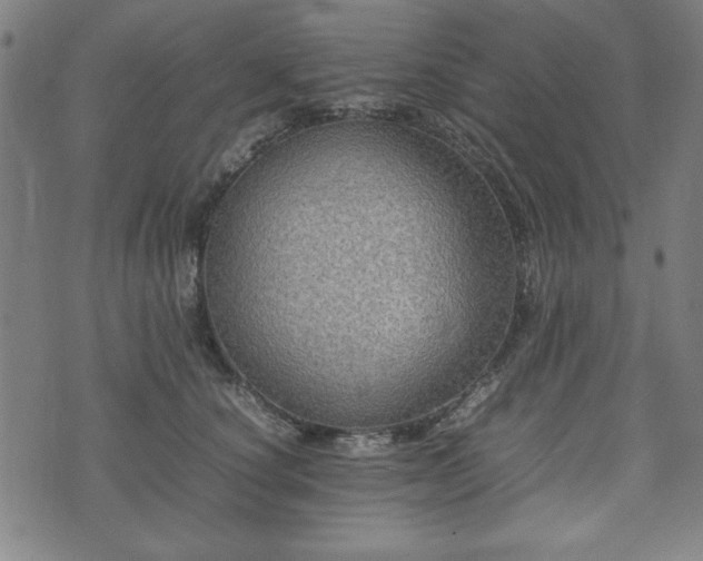 X0000074930660200609081327