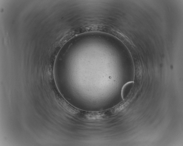 X0000074930661200609081327