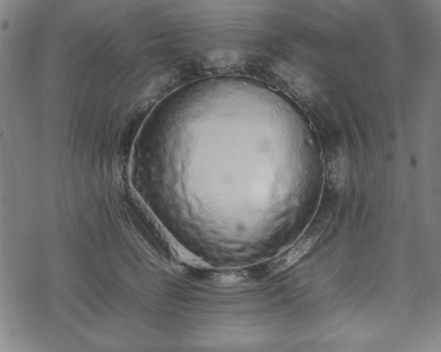 X0000074930662200609081327