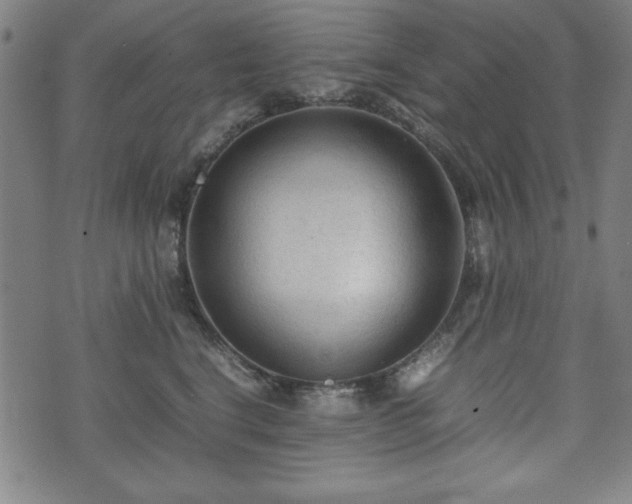 X0000074930664200609081327