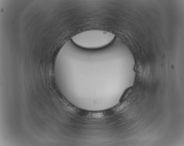 X0000074930665200609081327