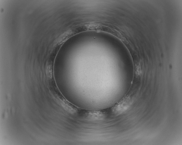 X0000074930666200609081327