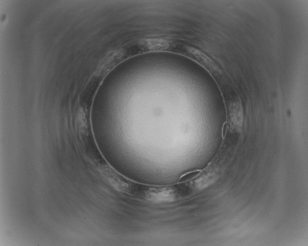 X0000074930667200609081327