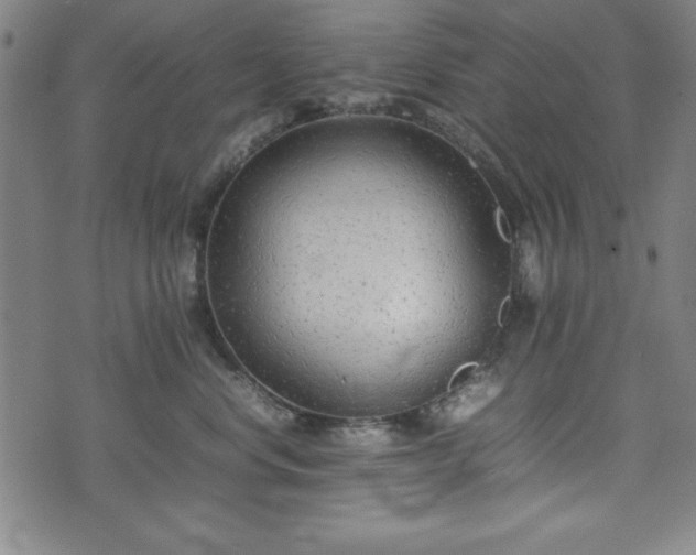 X0000074930668200609081327