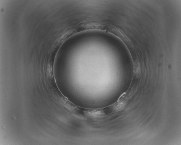 X0000074930669200609081327