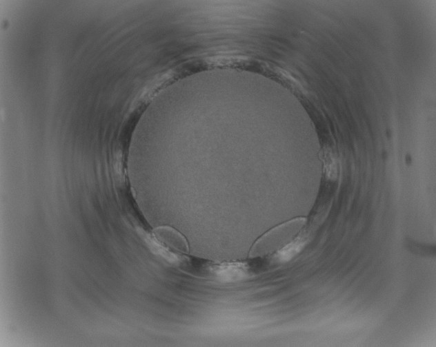 X0000074930670200609081327