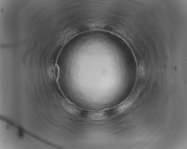 X0000074930671200609081327