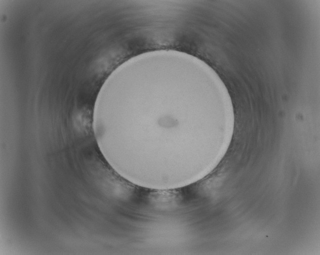 X0000074930672200609081327