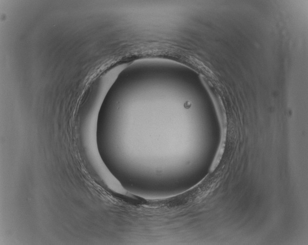 X0000074930673200609081326