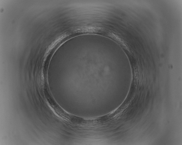 X0000074930674200609081326