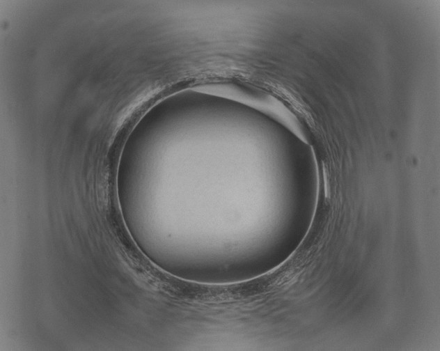 X0000074930675200609081326