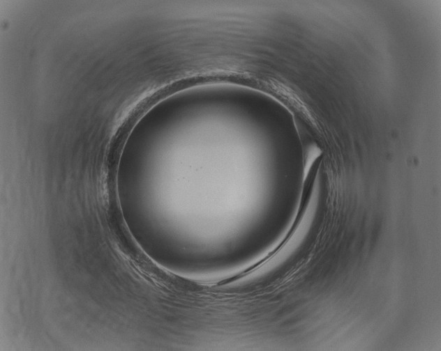 X0000074930676200609081326