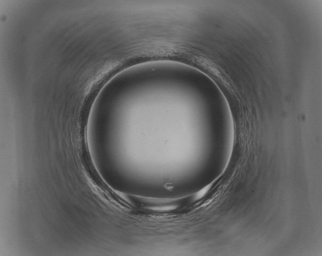 X0000074930677200609081326