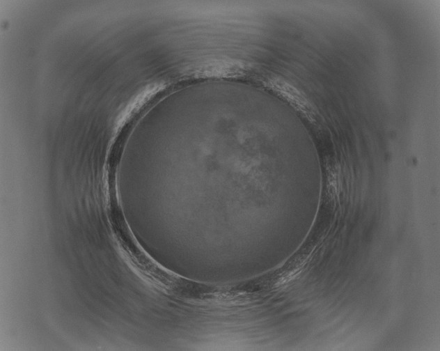 X0000074930678200609081326