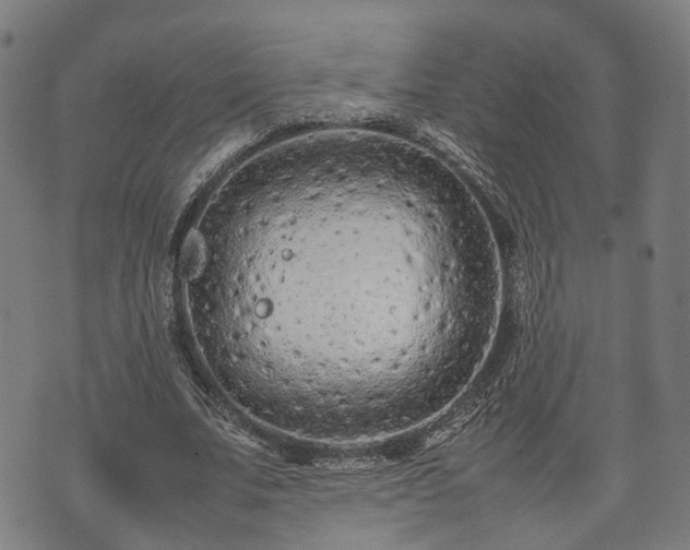 X0000074930679200609081326