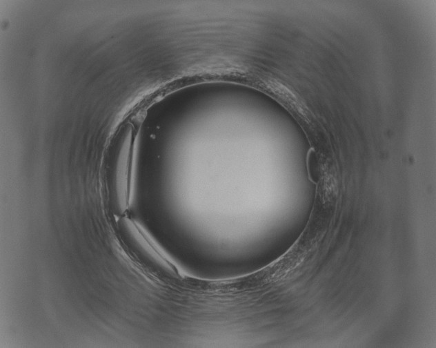 X0000074930680200609081326