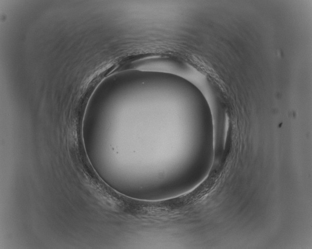 X0000074930681200609081326