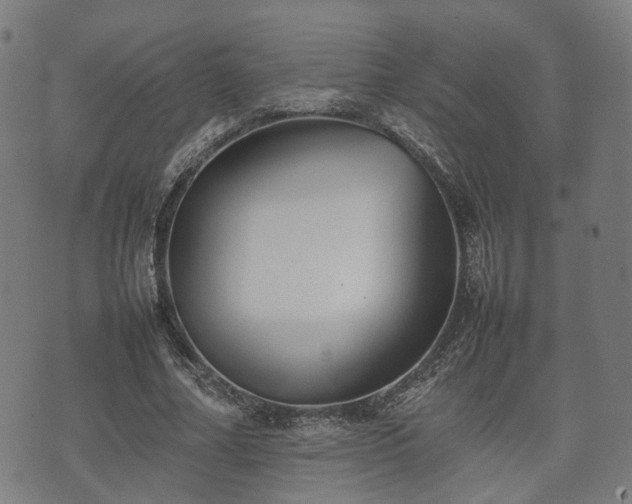 X0000074930682200609081326