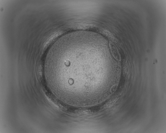 X0000074930683200609081326