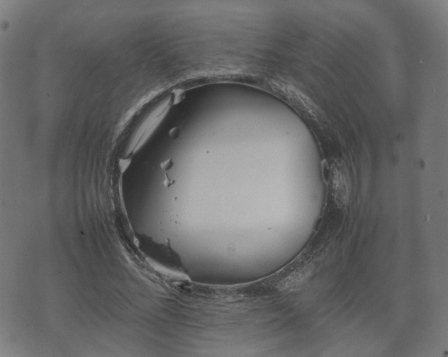 X0000074930684200609081326