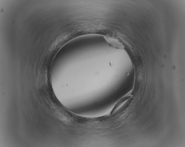 X0000074930685200609081326