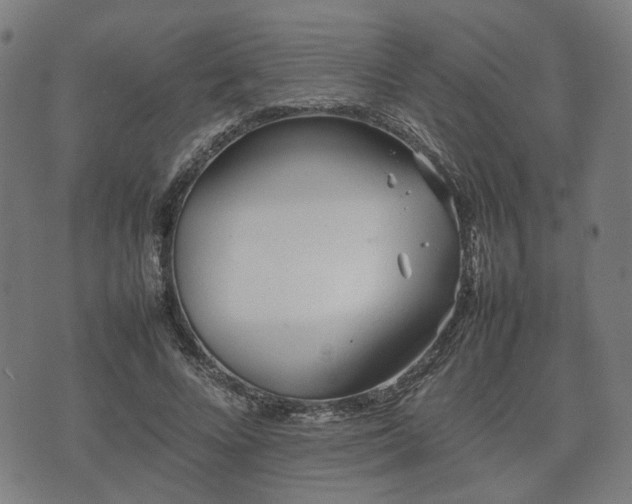 X0000074930688200609081326