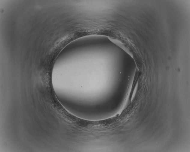 X0000074930689200609081326