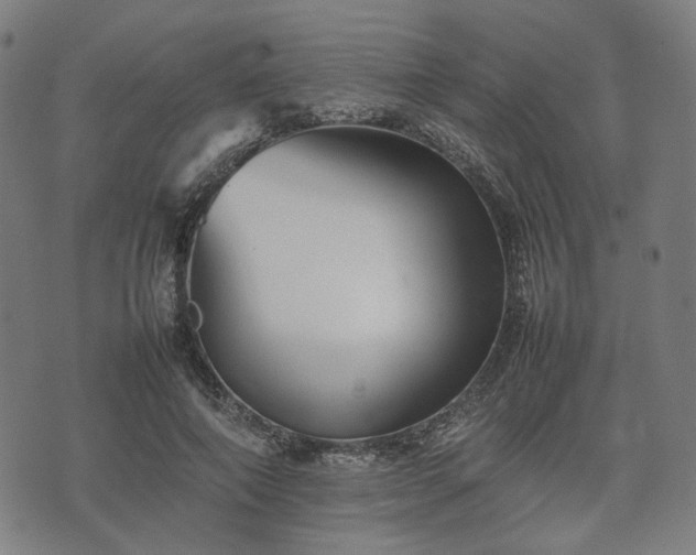 X0000074930690200609081326