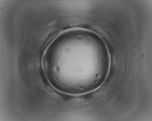 X0000074930691200609081326