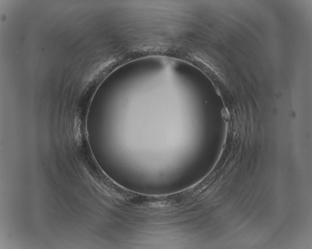 X0000074930692200609081326