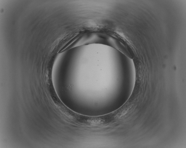 X0000074930693200609081326