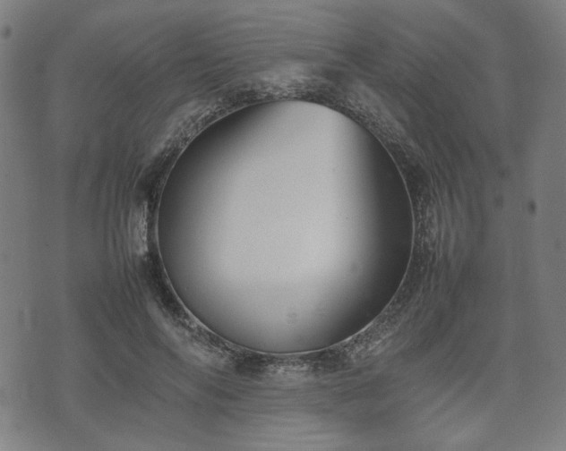 X0000074930694200609081326