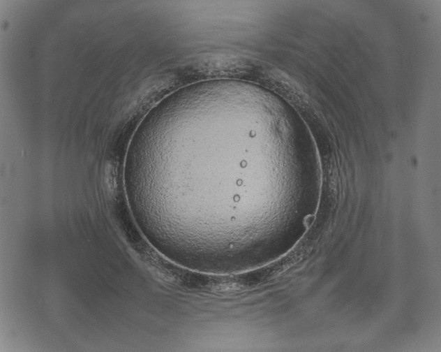 X0000074930695200609081326