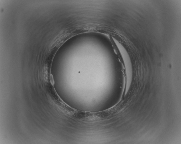 X0000074930696200609081326