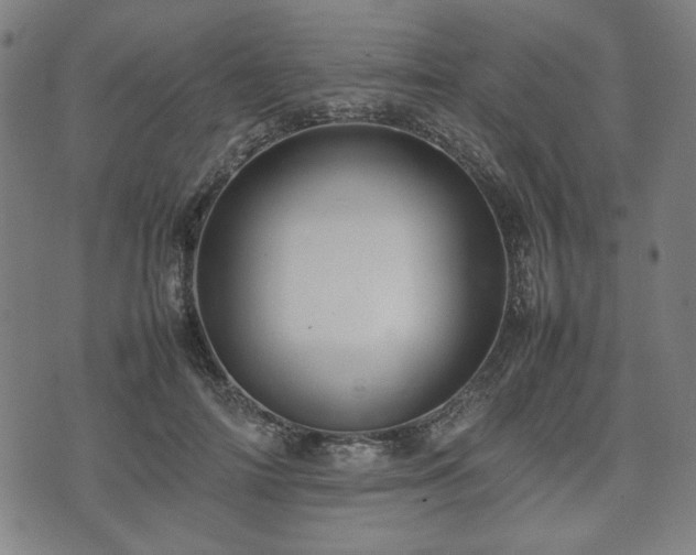 X0000074930698200609081326