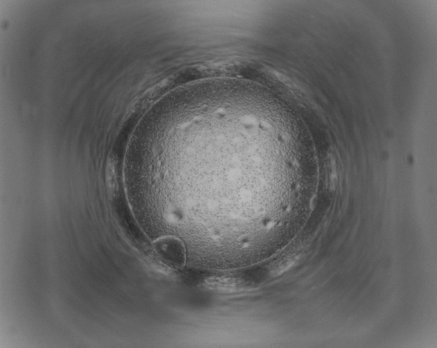 X0000074930699200609081326