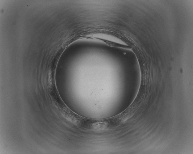 X0000074930700200609081326